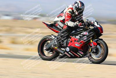 media/Jan-14-2024-SoCal Trackdays (Sun) [[2e55ec21a6]]/Back Straight Speed Pans (1145am)/